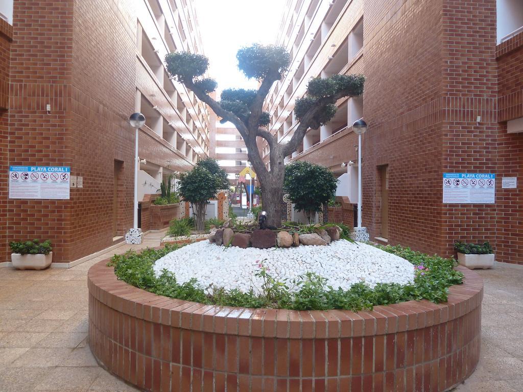 Playa Coral En Marina D'Or Apartman Orpesa Kültér fotó
